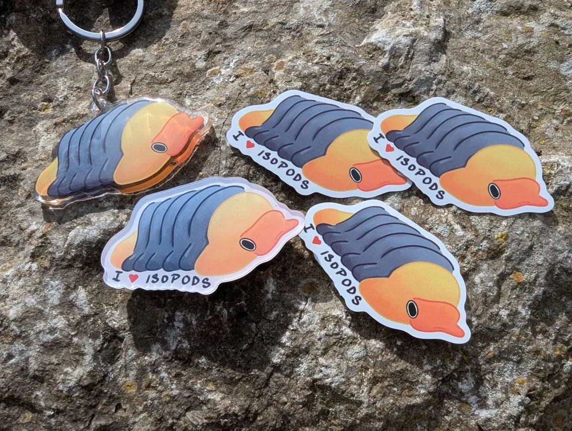 Rubber ducky isopod set