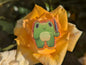 Knife frog pin